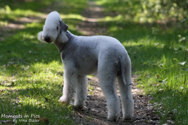 2010-05-23 Airis Blue Volshebny Svet Walk (9).jpg